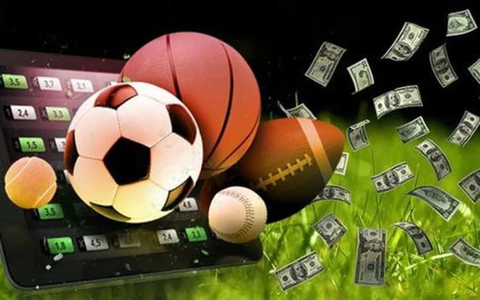 Kartu pertandingan dan navigasi kompetisi olahraga di SEDAYU88