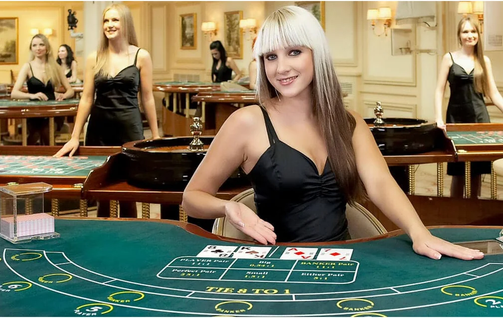 Dealer live dan panel meja permainan pada layar kasino